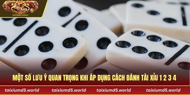 Một số lưu ý quan trọng khi áp dụng cách đánh tài xỉu 1 2 3 4 