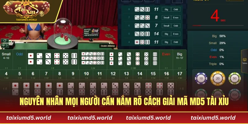 Nguyên nhân mọi người cần nắm rõ cách giải mã MD5 tài xỉu